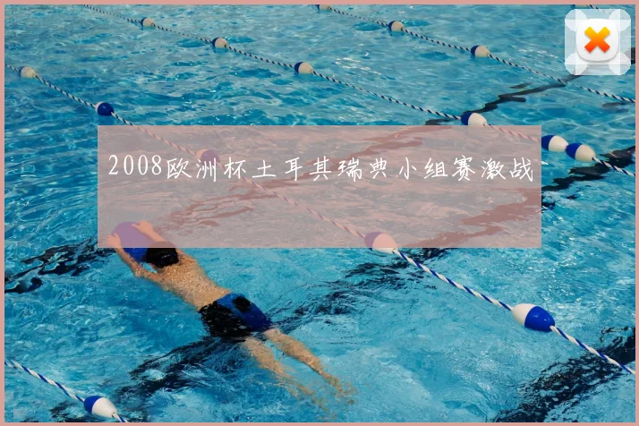 2008欧洲杯土耳其瑞典小组赛激战