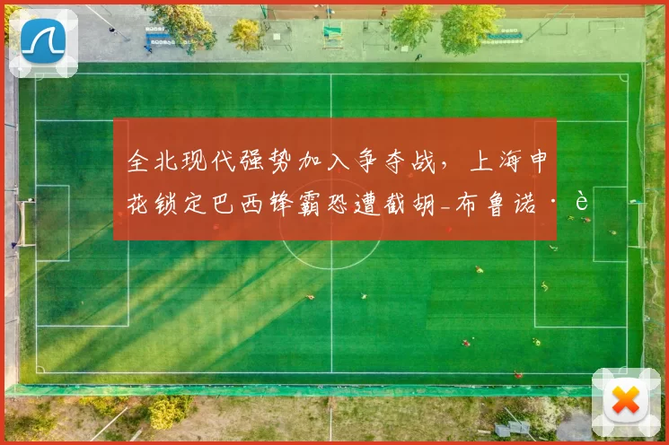 全北现代强势加入争夺战，上海申花锁定巴西锋霸恐遭截胡_布鲁诺·莫塔_孔帕尼奥_锋线