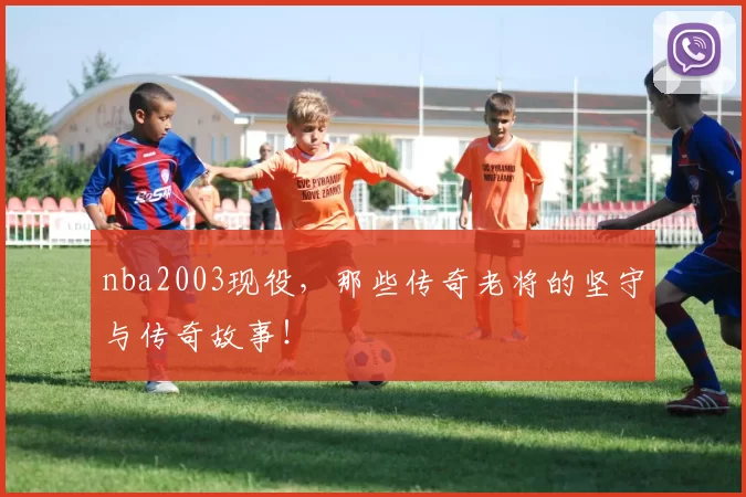 nba2003现役，那些传奇老将的坚守与传奇故事！